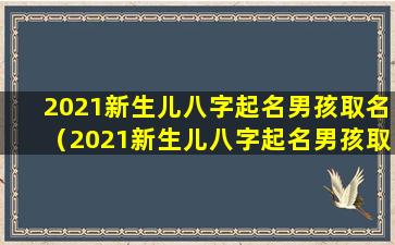 2021新生儿八字起名男孩取名（2021新生儿八字起名男孩取 🦋 名怎么样）